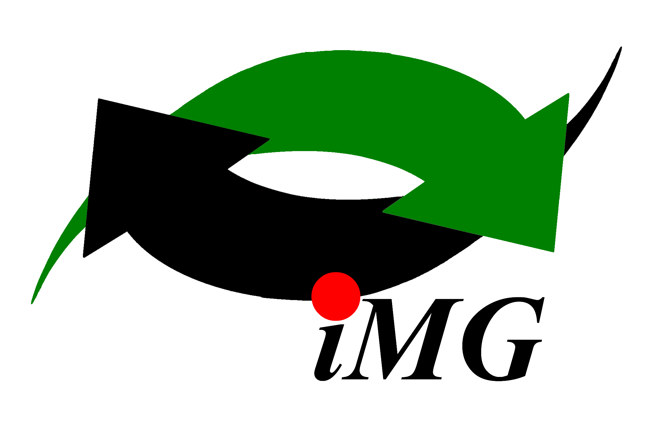 iMG Logo